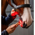 Horseware LED Red Light Therapy Wand Horseware LED Red Light Therapy Wand